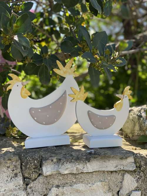 κοτούλες σετ στα κίτρινα