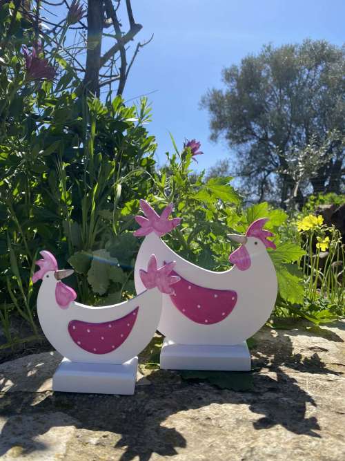 κοτούλες σετ φούξια