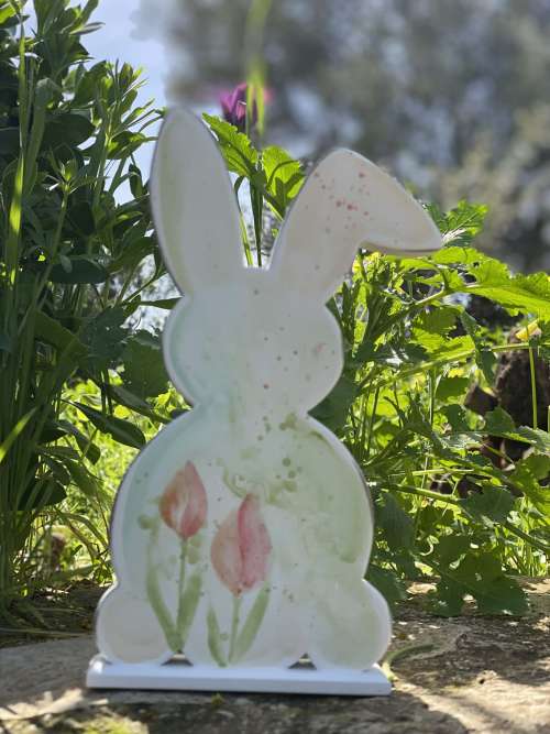 λαγός με τουλίπες