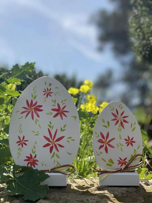 αυγά σετ με κόκκινα λουλούδια